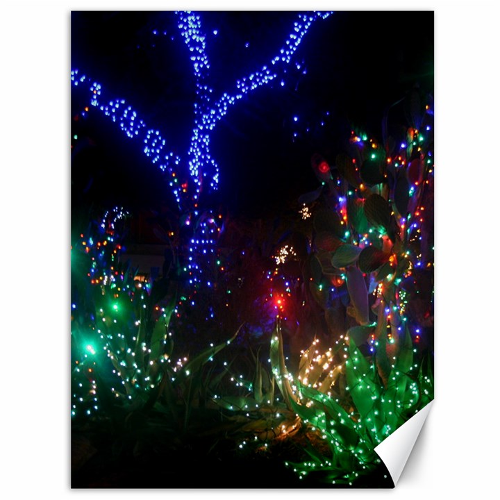 CHRISTMAS LIGHTS 2 Canvas 36  x 48  