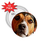 Jack Russell Terrier 2.25  Buttons (10 pack)  Front