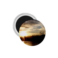 Setting Sun At Lake 1 75  Magnets by trendistuff