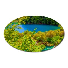 Plitvice, Croatia Oval Magnet by trendistuff