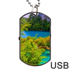 Plitvice, Croatia Dog Tag Usb Flash (two Sides)  by trendistuff