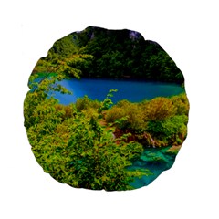 Plitvice, Croatia Standard 15  Premium Round Cushions by trendistuff