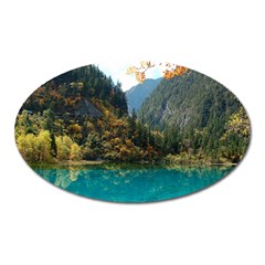 JIUZHAIGOU VALLEY 3 Oval Magnet