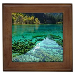 Jiuzhaigou Valley 2 Framed Tiles by trendistuff