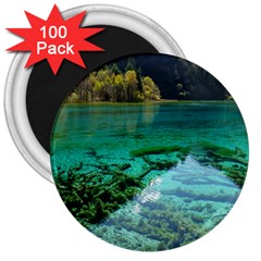 Jiuzhaigou Valley 2 3  Magnets (100 Pack) by trendistuff