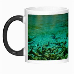 Jiuzhaigou Valley 2 Morph Mugs by trendistuff