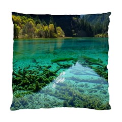 Jiuzhaigou Valley 2 Standard Cushion Case (one Side) 