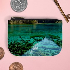 Jiuzhaigou Valley 2 Mini Coin Purses by trendistuff