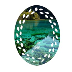 Jiuzhaigou Valley 2 Ornament (oval Filigree)  by trendistuff