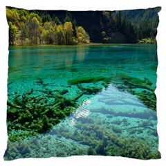 Jiuzhaigou Valley 2 Large Cushion Cases (one Side)  by trendistuff