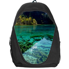 Jiuzhaigou Valley 2 Backpack Bag