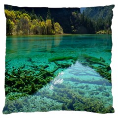 Jiuzhaigou Valley 2 Large Flano Cushion Cases (one Side) 