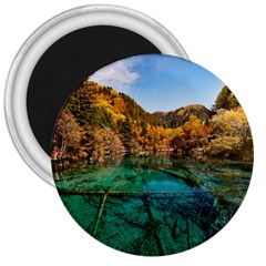 Jiuzhaigou Valley 1 3  Magnets by trendistuff