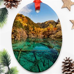 Jiuzhaigou Valley 1 Ornament (oval)  by trendistuff