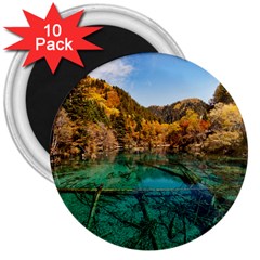 Jiuzhaigou Valley 1 3  Magnets (10 Pack)  by trendistuff