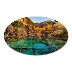 Jiuzhaigou Valley 1 Oval Magnet by trendistuff