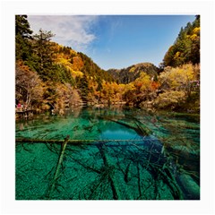 Jiuzhaigou Valley 1 Medium Glasses Cloth (2-side) by trendistuff