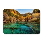 JIUZHAIGOU VALLEY 1 Small Doormat  24 x16  Door Mat