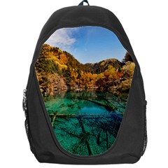 Jiuzhaigou Valley 1 Backpack Bag