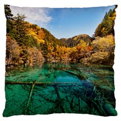 Jiuzhaigou Valley 1 Standard Flano Cushion Cases (one Side)  by trendistuff