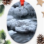 ICE AND WATER Ornament (Oval) 