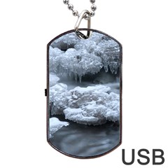 Ice And Water Dog Tag Usb Flash (two Sides) 