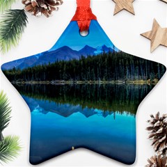 Herbert Lake Ornament (star)  by trendistuff