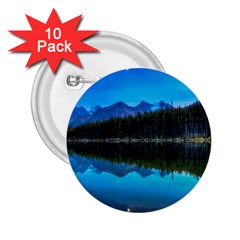 Herbert Lake 2 25  Buttons (10 Pack) 