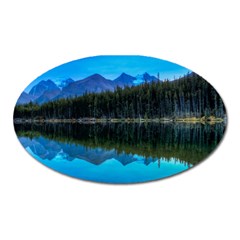 Herbert Lake Oval Magnet by trendistuff