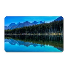 Herbert Lake Magnet (rectangular) by trendistuff