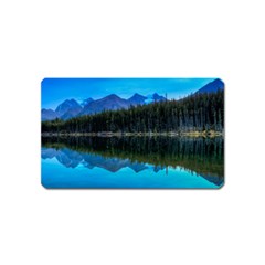 Herbert Lake Magnet (name Card) by trendistuff