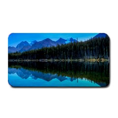 Herbert Lake Medium Bar Mats by trendistuff