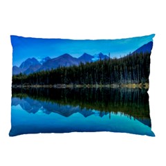 Herbert Lake Pillow Cases