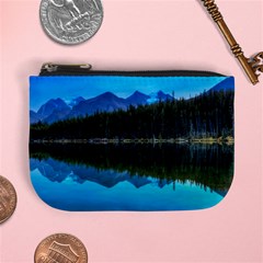 Herbert Lake Mini Coin Purses by trendistuff