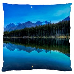 Herbert Lake Large Cushion Cases (one Side) 