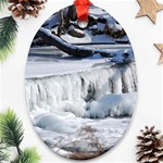 FROZEN CREEK Ornament (Oval) 