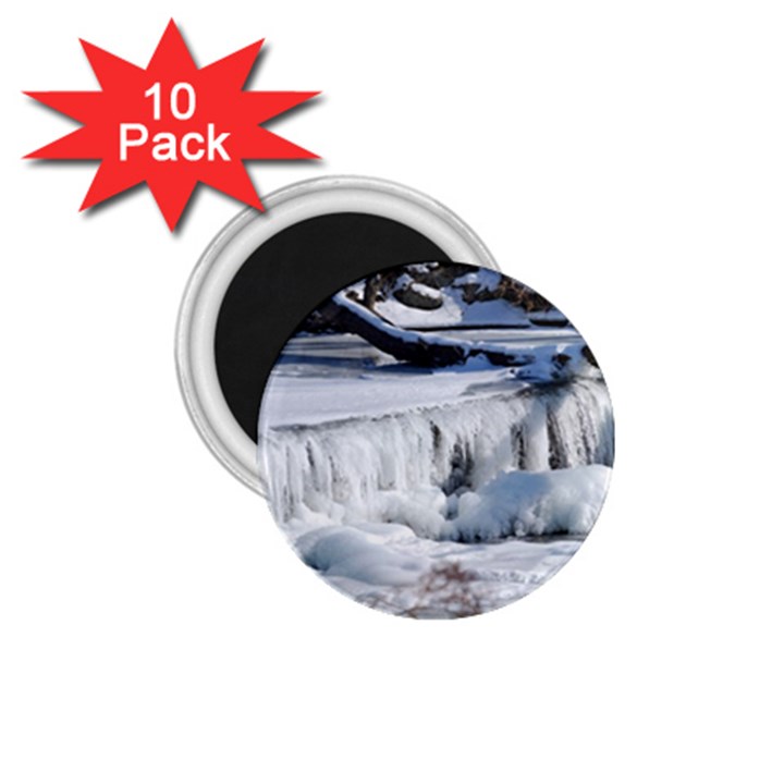 FROZEN CREEK 1.75  Magnets (10 pack) 