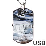 FROZEN CREEK Dog Tag USB Flash (Two Sides)  Front