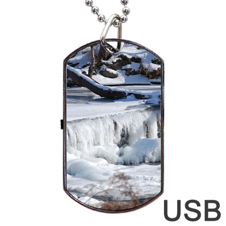 FROZEN CREEK Dog Tag USB Flash (Two Sides) 