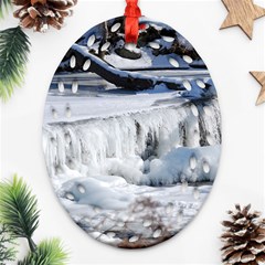 Frozen Creek Oval Filigree Ornament (2-side)  by trendistuff