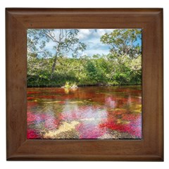 Cano Cristales 3 Framed Tiles by trendistuff