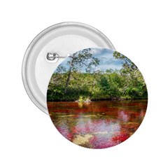 Cano Cristales 3 2 25  Buttons by trendistuff