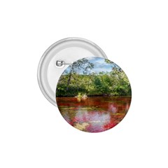 Cano Cristales 3 1 75  Buttons