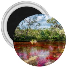 Cano Cristales 3 3  Magnets by trendistuff