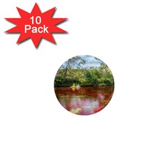 Cano Cristales 3 1  Mini Magnet (10 Pack)  by trendistuff