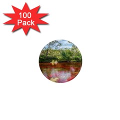 Cano Cristales 3 1  Mini Magnets (100 Pack)  by trendistuff