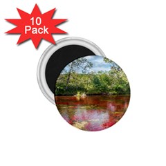 Cano Cristales 3 1 75  Magnets (10 Pack)  by trendistuff