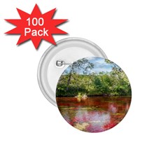 Cano Cristales 3 1 75  Buttons (100 Pack) 