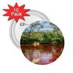 CANO CRISTALES 3 2.25  Buttons (10 pack)  Front