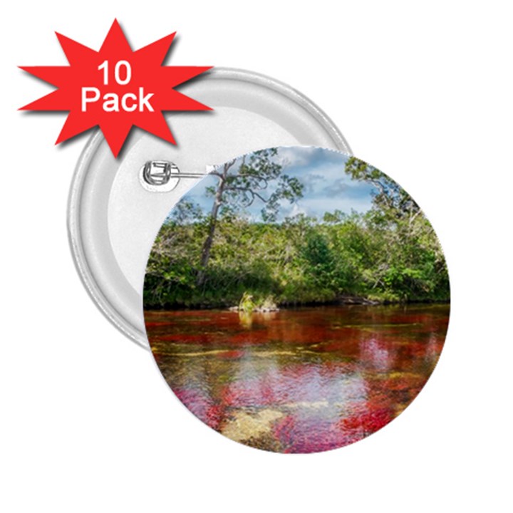 CANO CRISTALES 3 2.25  Buttons (10 pack) 